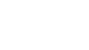 Maton Guitar