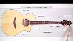Guitar Anatomy