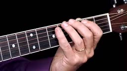 Harmonic Concepts