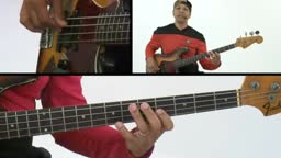 Groove in 4 Trainer