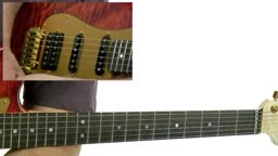 Scale Options