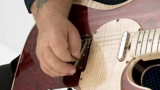 Redd Hot Guitar - Redd Volkaert - Guitar Lessons - TrueFire