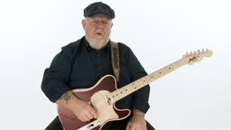 Hybrid & Chick'n Pick'n
